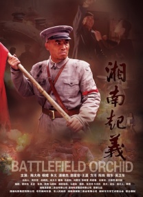 国产真实强j视频在线观看